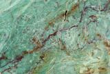 Polished Fuchsite Chert (Dragon Stone) Slab - Australia #89977-1